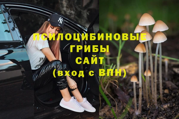 а пвп мука Алексеевка